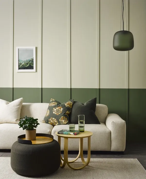 Dual Tone Colour Ideas for Living Rooms: A Practical Guide for Indian Homes